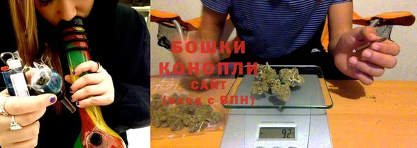 шишки Коряжма