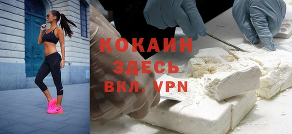 шишки Коряжма