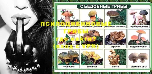 круглые Корсаков