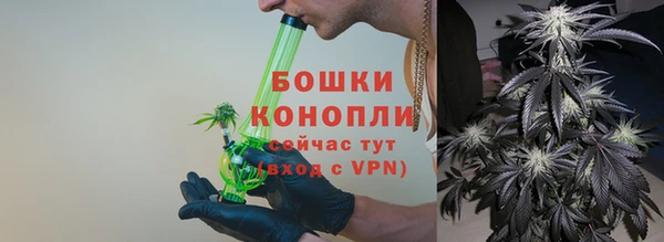 шишки Коряжма