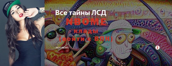 шишки Коряжма
